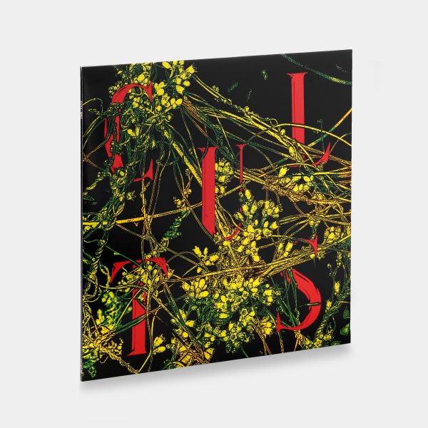 Cults - Host LP Vinyl Record on Sale - Image 2